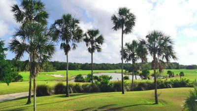 15el-tinto-golf-course-cancun-book-tee-time-local-caddie